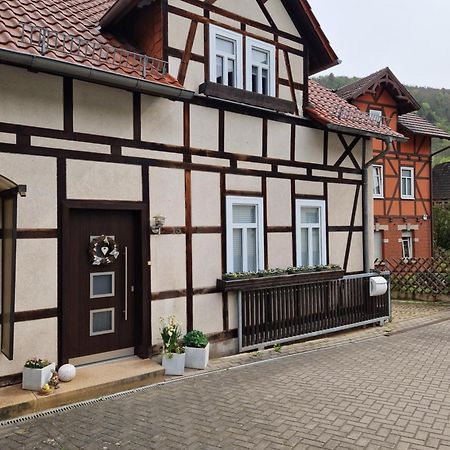 Ferienhaus Reschwitzer Auszeit Saalfeld Saale Exterior foto